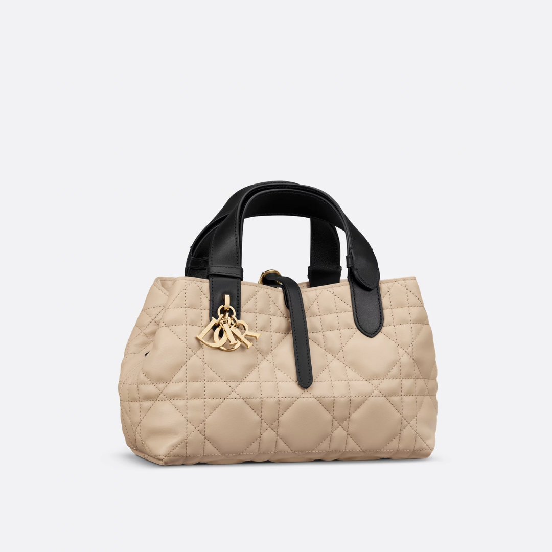 DIOR SIEMPRE KLEIN CARTERA