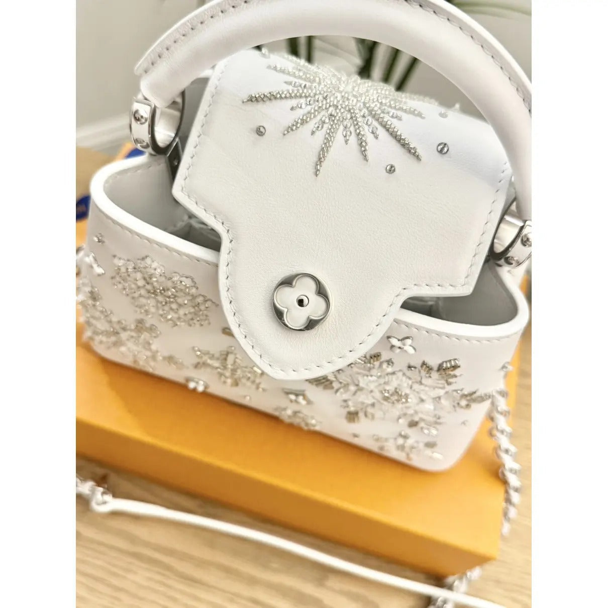 MINI CARTERA LOUIS VUITTON CAPUCINES