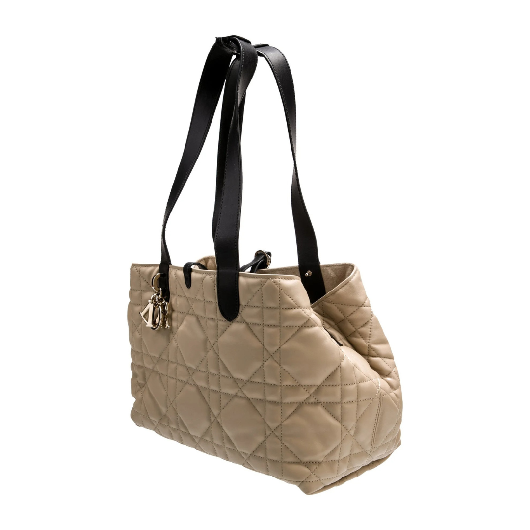 DIOR SIEMPRE KLEIN CARTERA